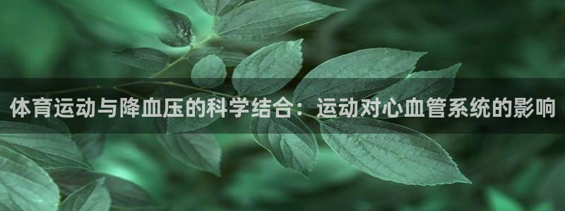 速8体育网：体育运动与降血压的科学结合：运动对心血管系统的影响