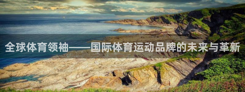 速8体育网：全球体育领袖——国际体育运动品牌的未来与革新