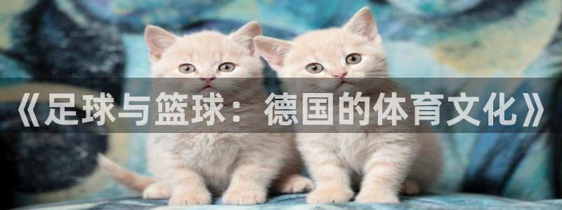速8体育网：《足球与篮球：德国的体育文化》