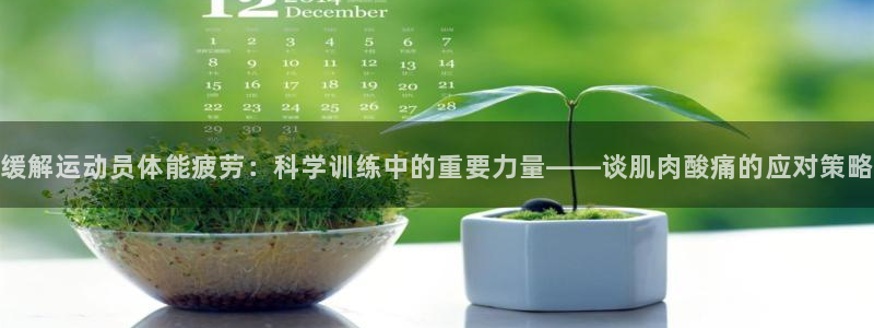 速8体育网：缓解运动员体能疲劳：科学训练中的重要力量——谈肌肉酸痛的应对策略