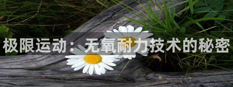 速8体育网：极限运动：无氧耐力技术的秘密
