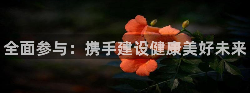 速8体育网：全面参与：携手建设健康美好未来