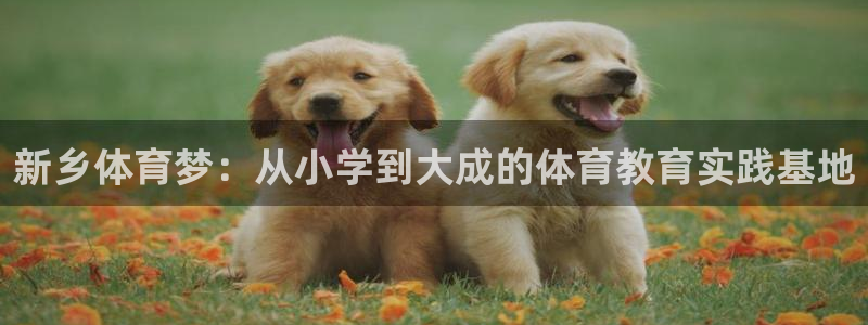 速8体育网：新乡体育梦：从小学到大成的体育教育实践基地
