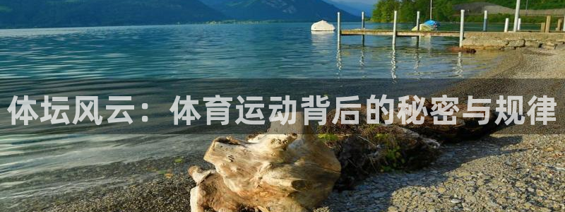 速8体育网：体坛风云：体育运动背后的秘密与规律