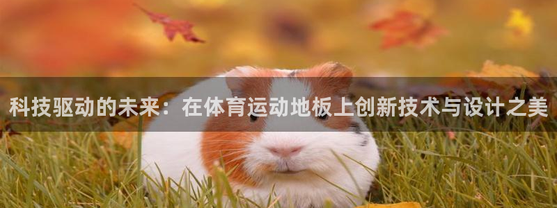 速8体育网：科技驱动的未来：在体育运动地板上创新技术与设计之美