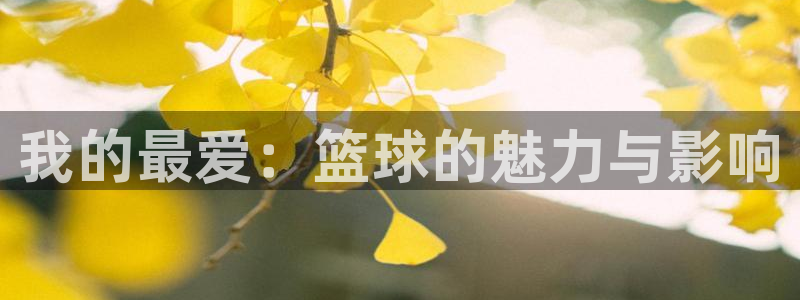 速8体育网：我的最爱：篮球的魅力与影响