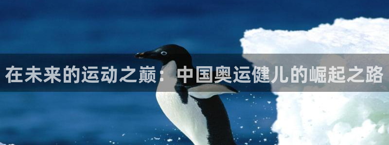 速8体育网：在未来的运动之巅：中国奥运健儿的崛起之路